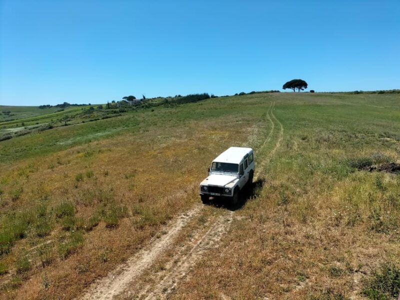 winery-tastings-4wd-vineyards-half-day-trip-from-lisbon