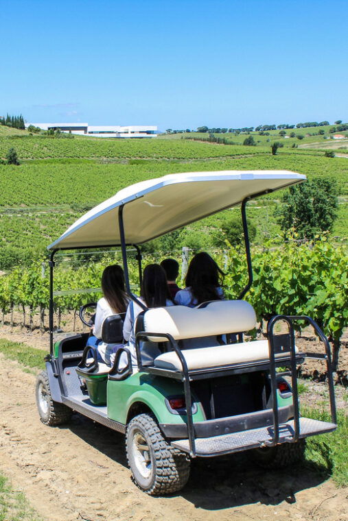 winery-tastings-4wd-vineyards-half-day-trip-from-lisbon