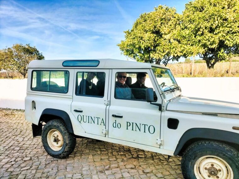 winery-tastings-4wd-vineyards-half-day-trip-from-lisbon