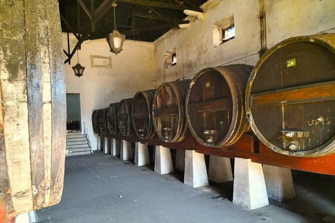 winery-tastings-4wd-vineyards-ride-half-day-trip-from-lisbon