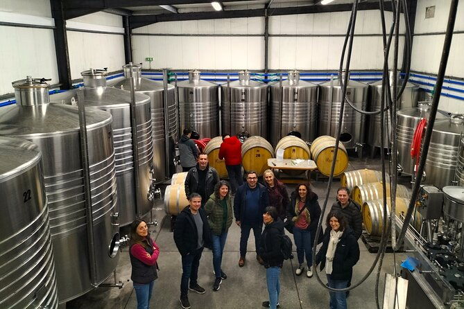 winery-tastings-4wd-vineyards-ride-half-day-trip-from-lisbon