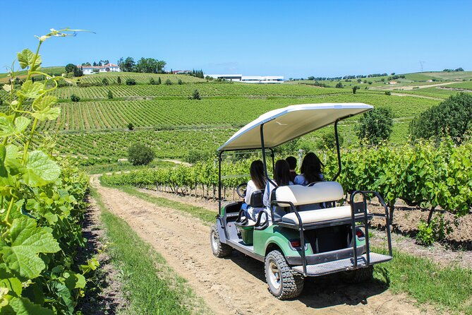 winery-tastings-4wd-vineyards-ride-half-day-trip-from-lisbon