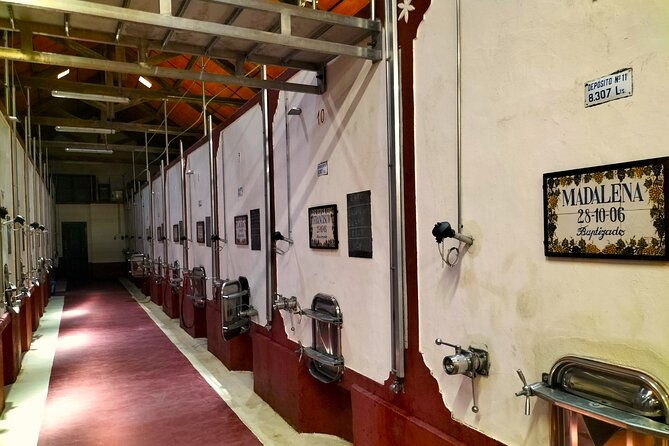 winery-tastings-4wd-vineyards-ride-half-day-trip-from-lisbon