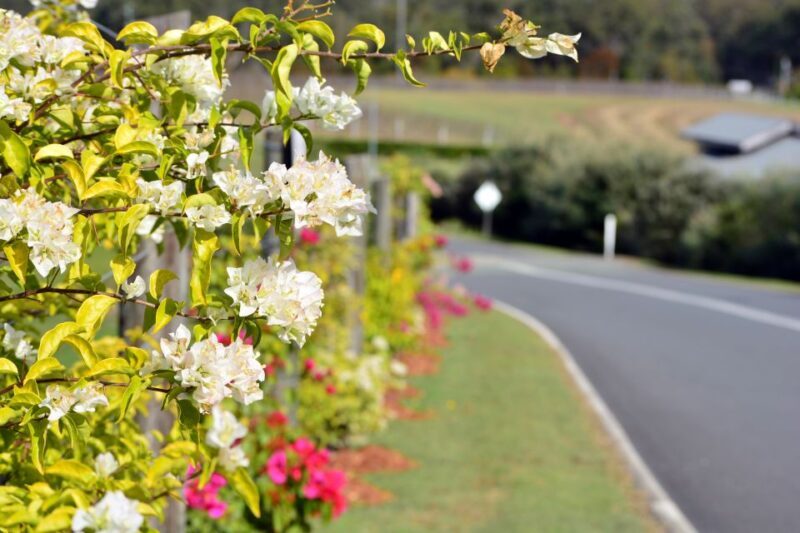 Winery Tour and Tasting - Practical Details and Tips
