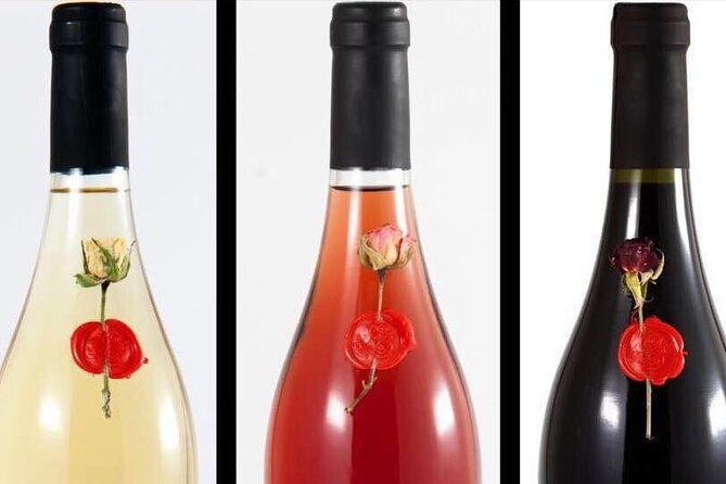 winery-tour-and-tasting-in-abruzzo