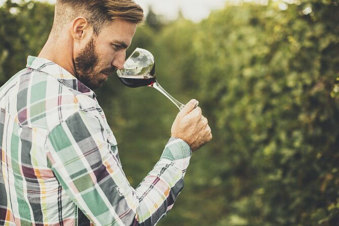 winery-tour-and-tasting-in-tenerife-with-the-sommelier
