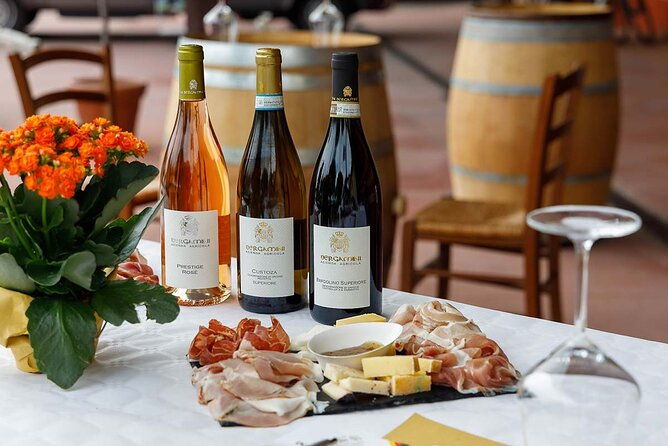 winery-tour-and-tasting-of-garda-wines-in-lazise