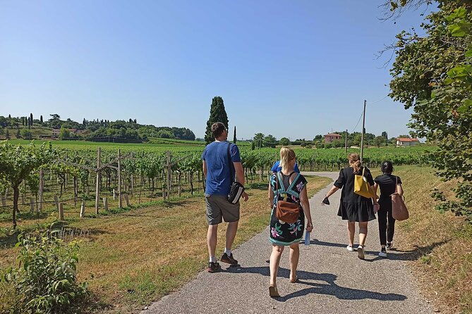 winery-tour-and-tasting-of-garda-wines-in-lazise
