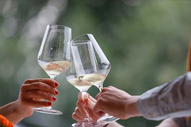 winery-tour-and-tasting-of-garda-wines-in-lazise