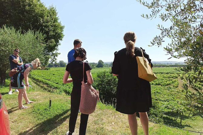 winery-tour-and-tasting-of-garda-wines-in-lazise