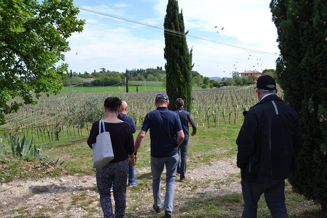 winery-tour-and-tasting-of-garda-wines-in-lazise