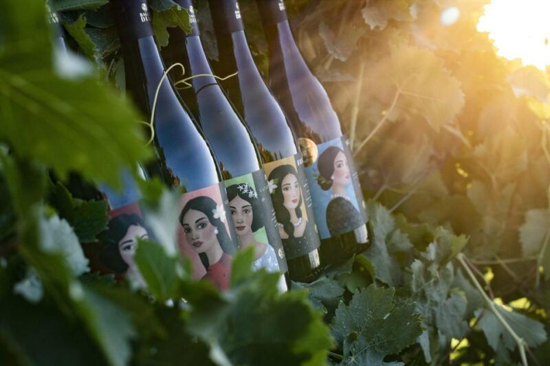 winery-tour-and-tasting-of-sicilian-organic-wines-in-marsala