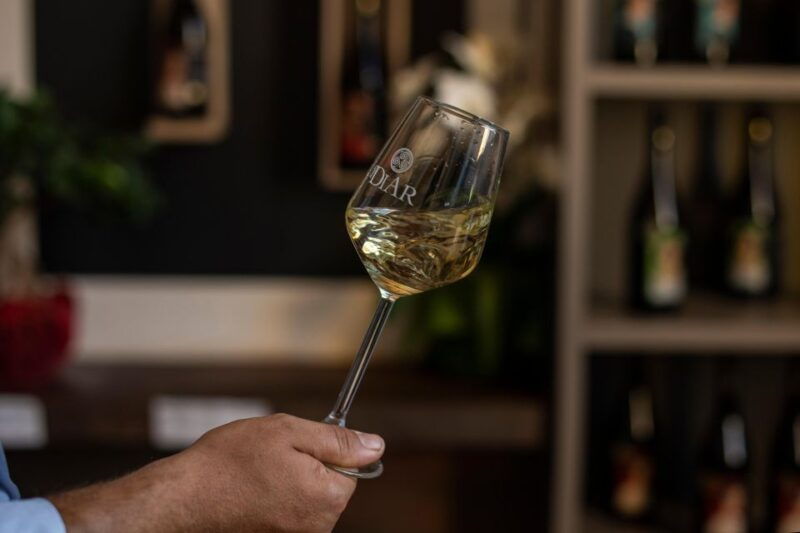 winery-tour-and-tasting-of-sicilian-organic-wines-in-marsala