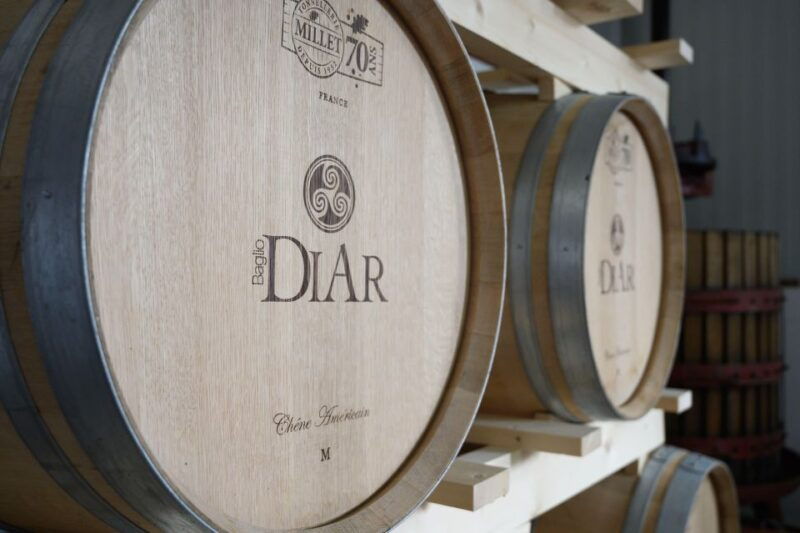 winery-tour-and-tasting-of-sicilian-organic-wines-in-marsala