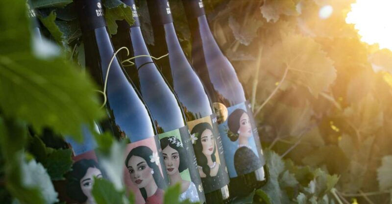 winery-tour-and-tasting-of-sicilian-organic-wines-in-marsala