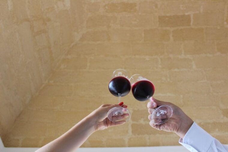 winery-tour-and-tasting-of-sicilian-organic-wines-in-marsala