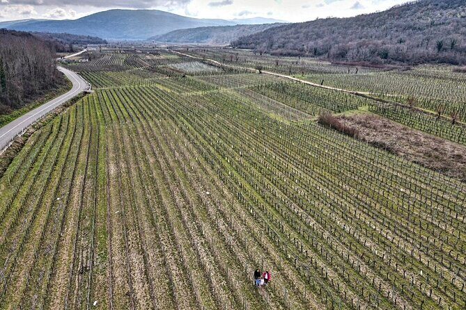 Winery Tour and Tasting with the Sommelier in KRK - Who Should Consider This Tour?
