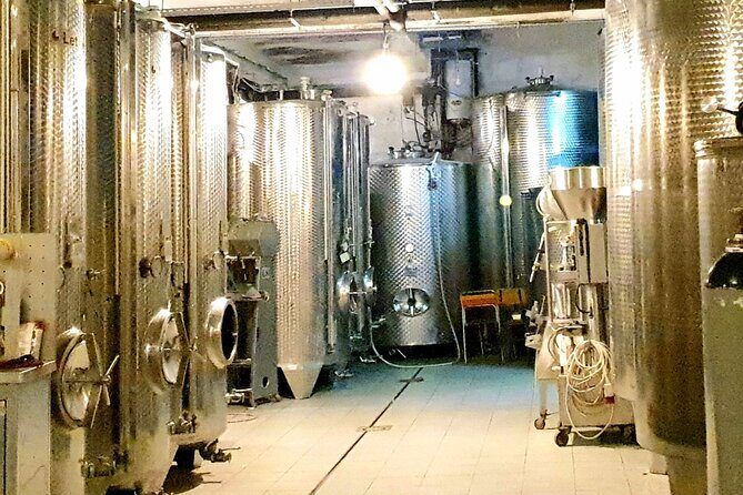Winery Tour and Tasting with the Sommelier in KRK - Final Thoughts