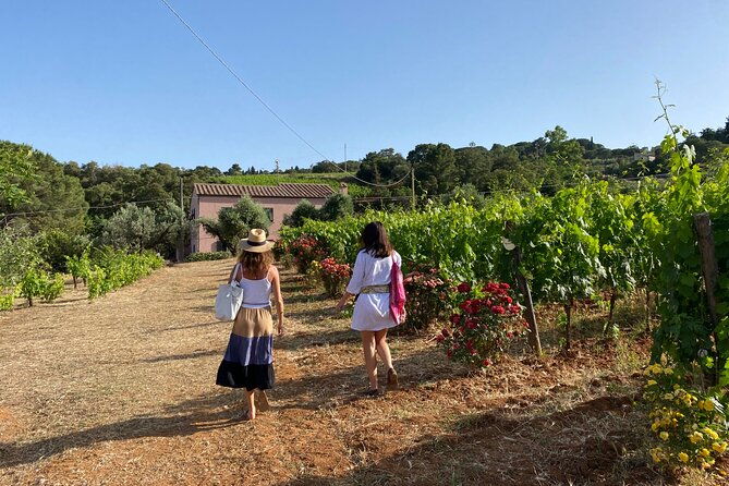 winery-tour-and-tasting-with-the-winemaker-in-elba-island