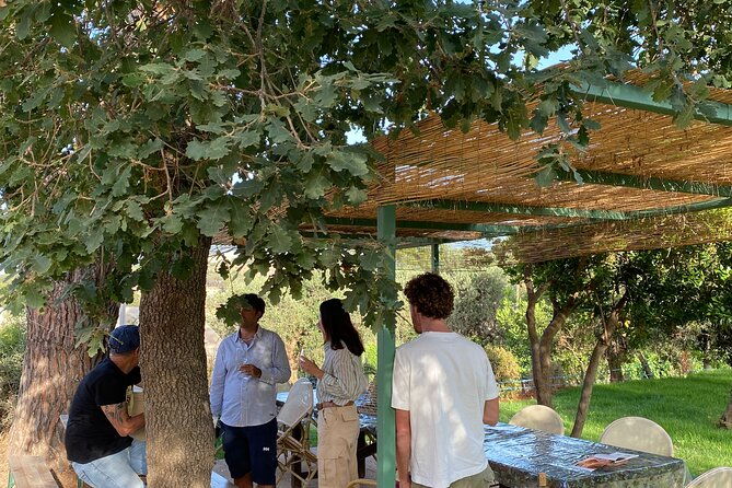 winery-tour-and-tasting-with-the-winemaker-in-elba-island