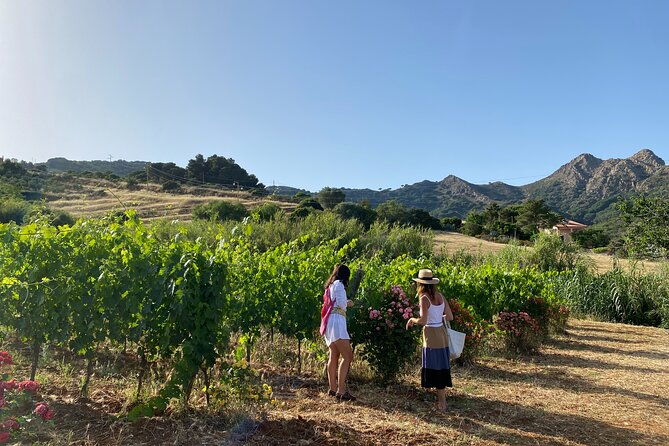 winery-tour-and-tasting-with-the-winemaker-in-elba-island