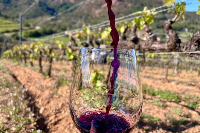 winery-tour-and-tasting-with-the-winemaker-in-elba-island