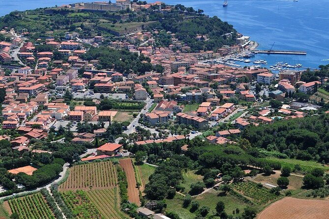 winery-tour-and-tasting-with-the-winemaker-in-elba-island