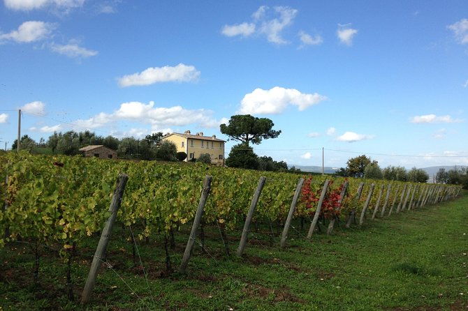 winery-tour-and-wine-cheese-tasting-2