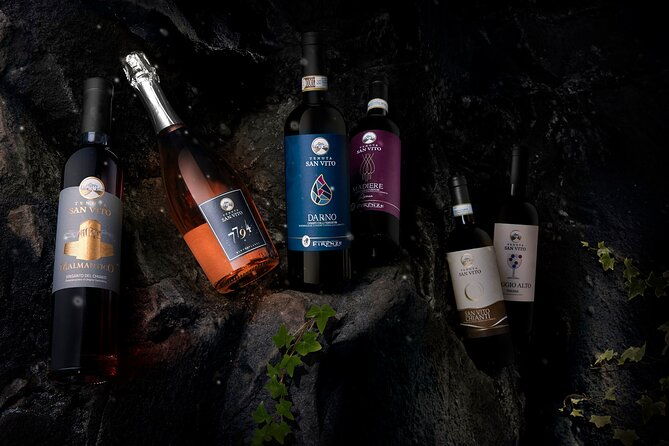 winery-tour-and-wine-tasting-of-organic-chianti-wines-and-extra-virgin-oil