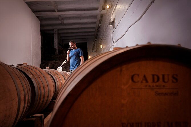 winery-tour-and-wine-tasting-of-organic-chianti-wines-and-extra-virgin-oil