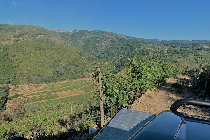 Winery Tour and Wine Tasting Quinta da Portela de Baixo in Lamego - FAQs