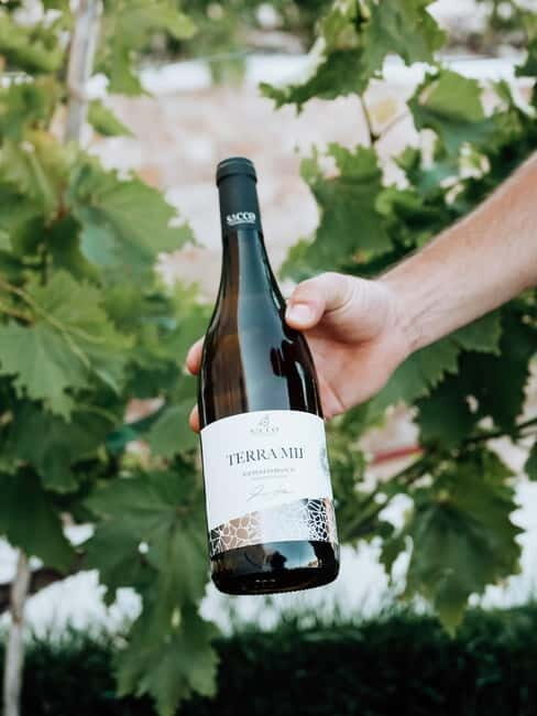 Winery tour and wine tasting - An In-Depth Look at the Winery Tour and Tasting Experience