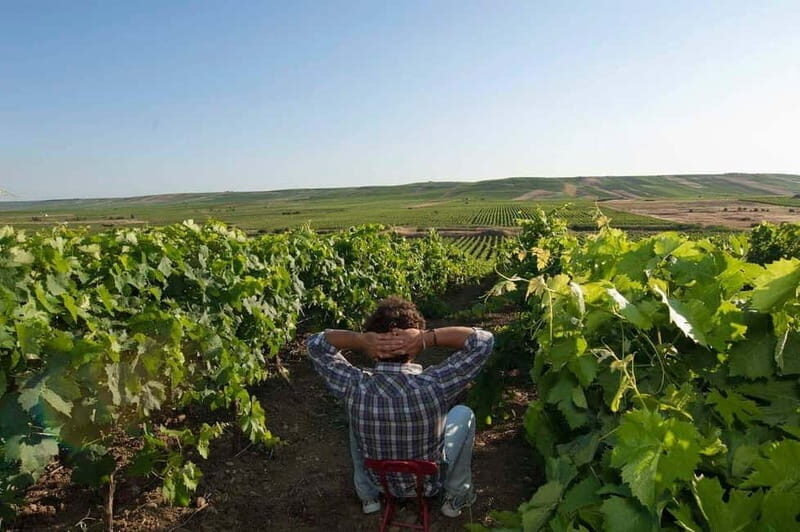 Winery tour in Marsala with wine tasting and local products - A Closer Look at the Marsala Winery Tour with Wine Tasting and Local Products