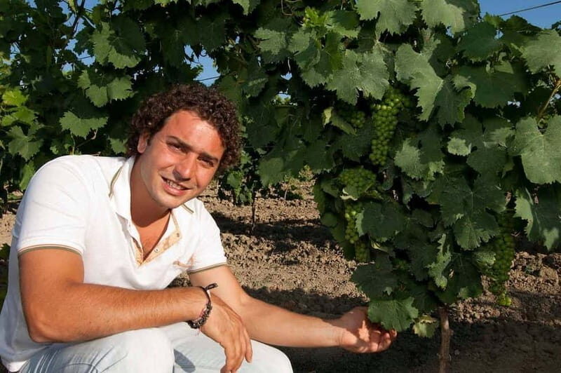 Winery tour in Marsala with wine tasting and local products - What to Expect from Your Marsala Winery Tour