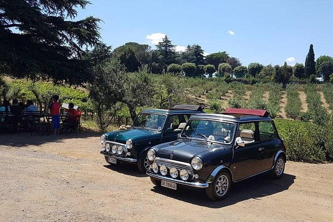 winery-tour-in-mini-cooper-classic-cabrio-wine-testing-and-lunch