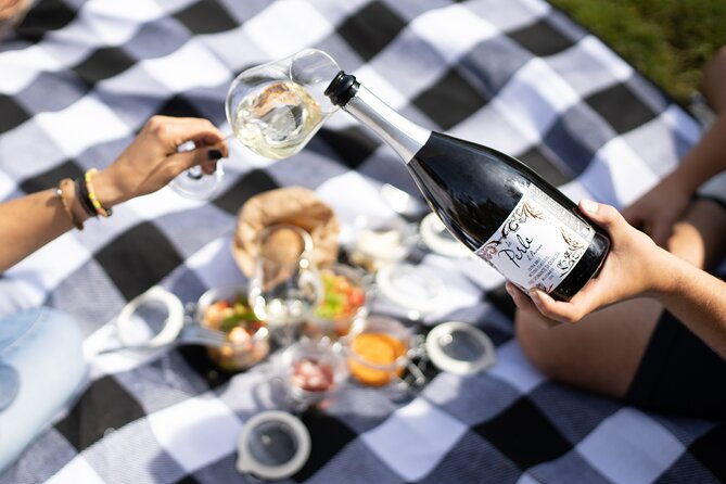 winery-tour-picnic-in-the-vineyard-with-a-bottle-of-wine