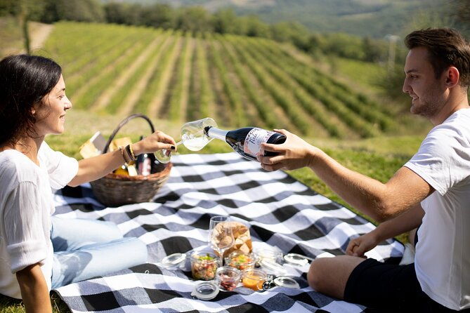 winery-tour-picnic-in-the-vineyard-with-a-bottle-of-wine
