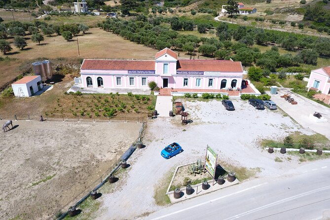winery-tour-tasting-and-cooking-with-the-winemaker-in-rhodes