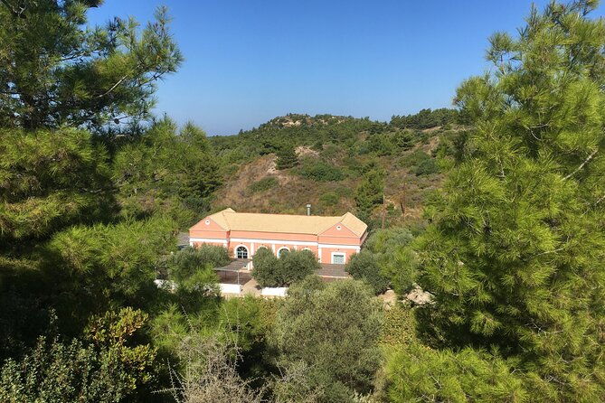 winery-tour-tasting-and-cooking-with-the-winemaker-in-rhodes