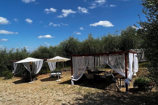 winery-tour-tasting-in-pisa-countryside