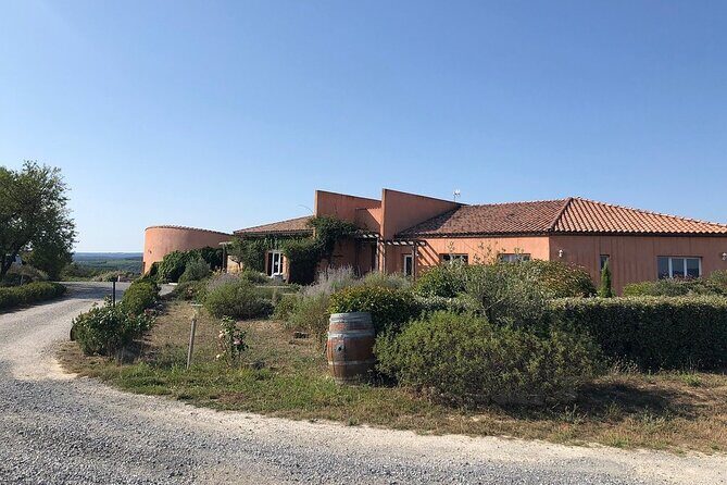 Winery Tour & Wine Tasting - Deli Plate & 3 Wines - The Experience: What to Expect from the Winery Tour & Tasting