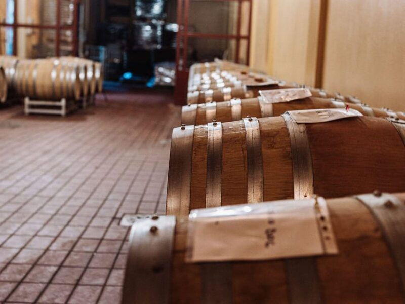 winery-tour-wine-tasting-with-food-near-livorno-pisa