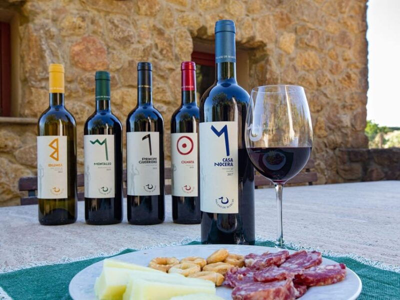 winery-tour-wine-tasting-with-food-near-livorno-pisa