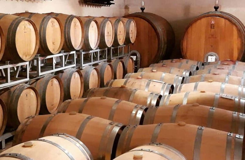 Winery Tour with Wine & Food Tasting near Riccione & Rimini - The Sum Up