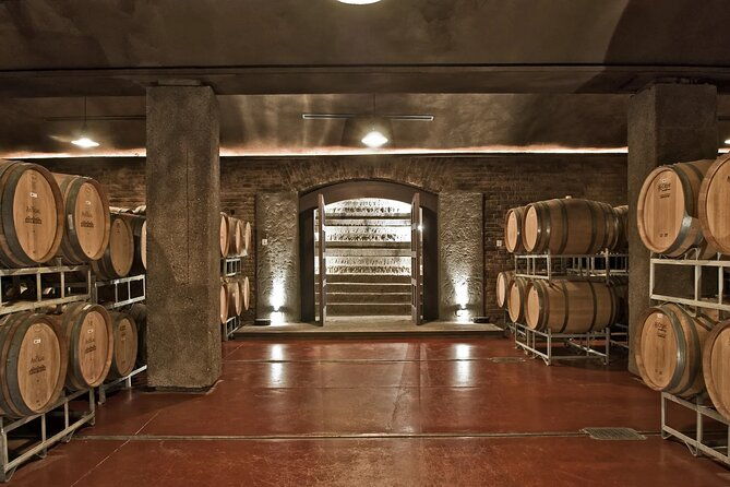 winery-trapiche-laur-lunch-winery-antigal-private-transfer