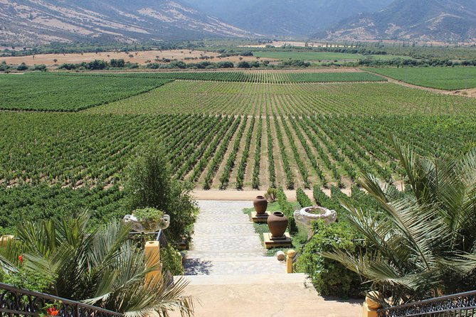 winery-valparaiso-private-tour-day-trip-from-santiago