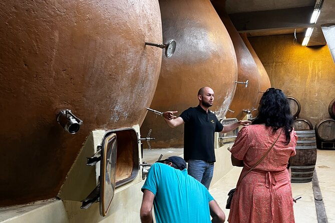 winery-valparaiso-private-tour-day-trip-from-santiago