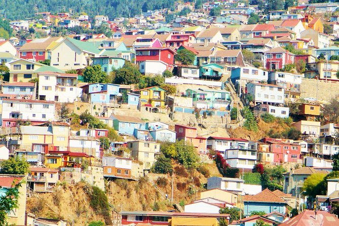 winery-valparaiso-private-tour-day-trip-from-santiago