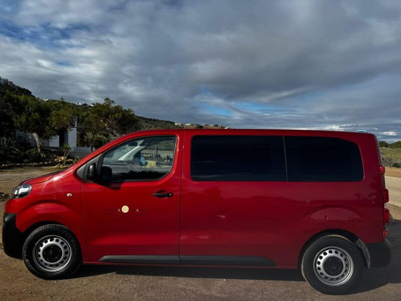 winery-visit-and-tasting-in-elche-with-wines-and-tapas-from-alicante-in-van