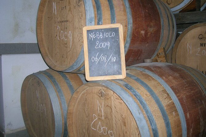 winery-visit-and-tasting-of-2-d-o-c-wines-fontechiara